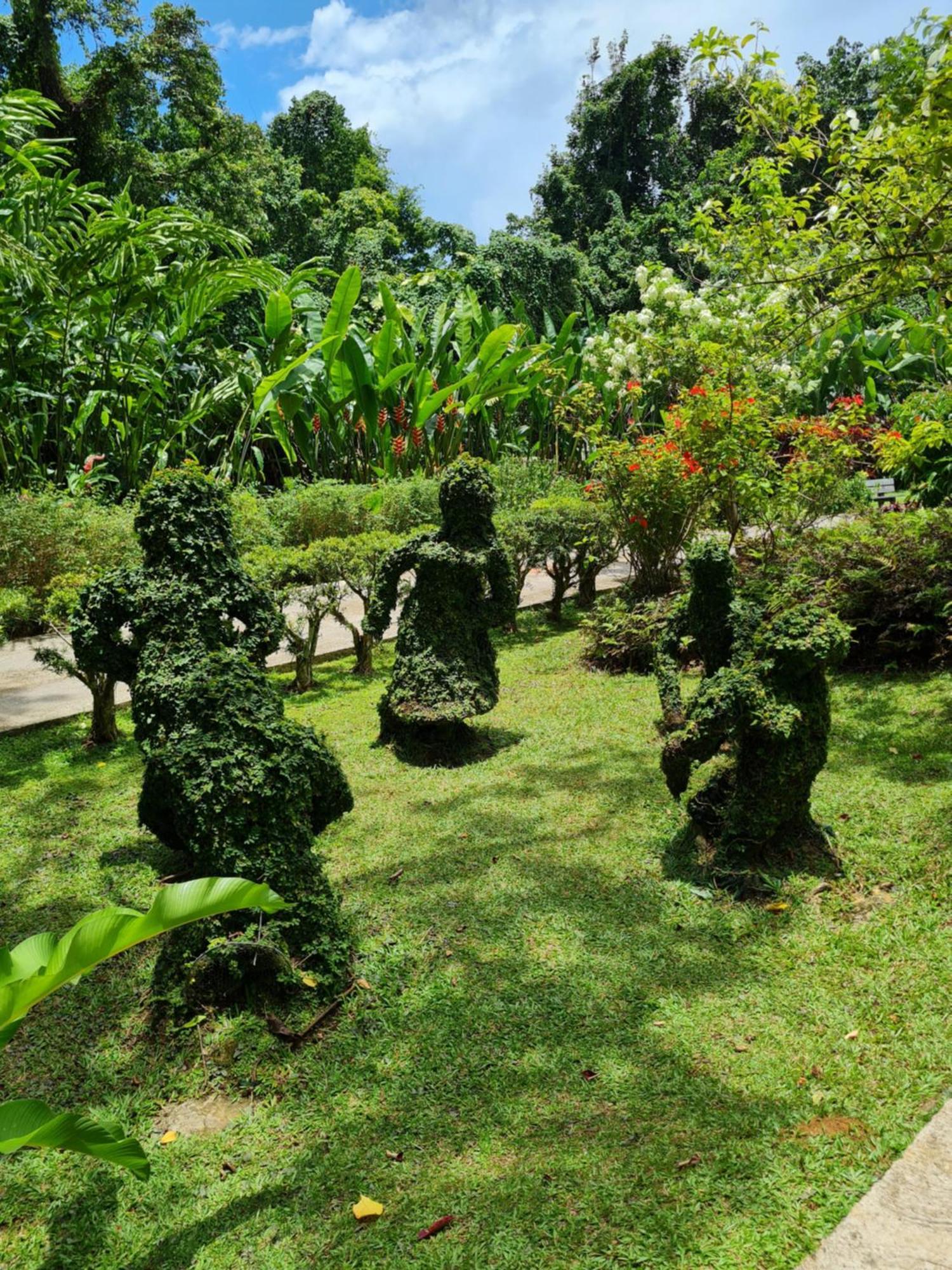 Les Gites Kajou Bouillante Ngoại thất bức ảnh